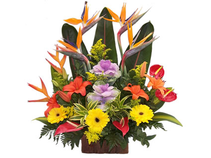Arreglo floral para Felicitaciones- Nacimientos- Celebraciones, etc. 